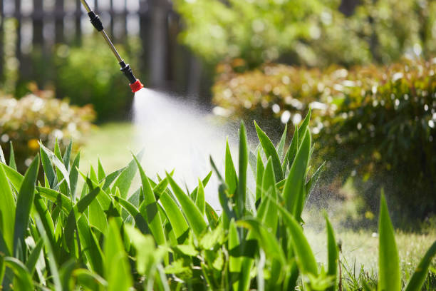 24/7 Emergency Wasp Removal experts in Eglin AFB, FL