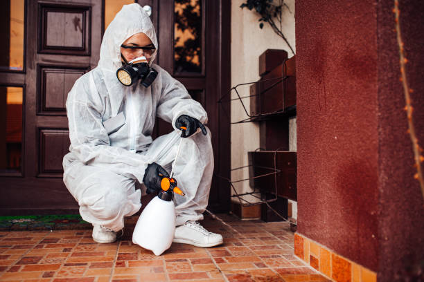 Reliable Wasp Removal contractor in Eglin AFB, FL by Show Me Pest Control